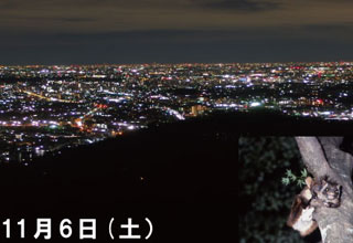 高尾山の自然教室『夜の満喫ハイキング　ナイトハイク×ムササビ観察×夜空観察』