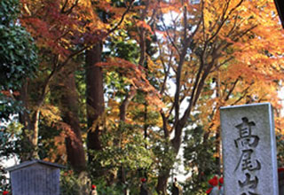 御詠歌勉強会中止のお知らせ