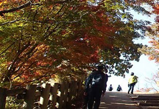 高尾山紅葉情報高尾ビジターセンター 臨時休館延長のお知らせ